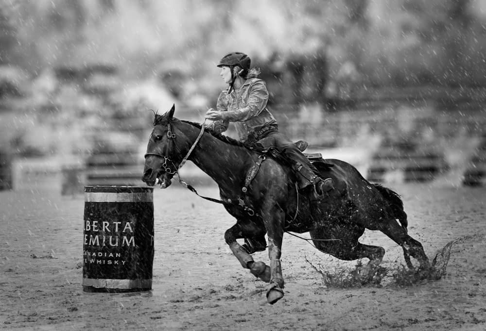 Horse Racing Through Rain by Leeian Dai — canvas wall art