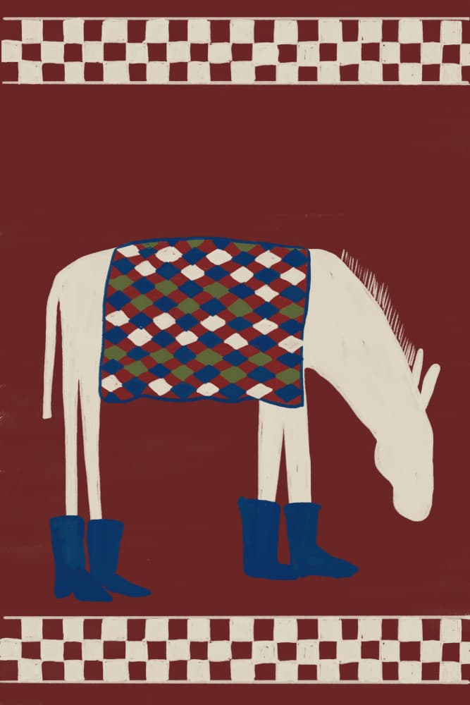Whimsical Donkey In Boots by The Art Concept — canvas wall art