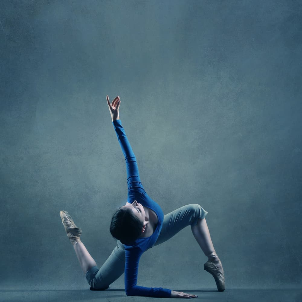 Graceful Ballet Pose by Moein Hasheminasab — canvas wall art