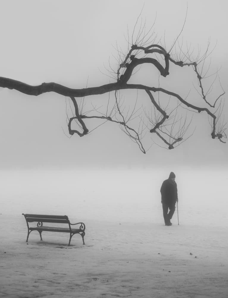 Solitary Winter Walk by Anna Niemiec — canvas wall art