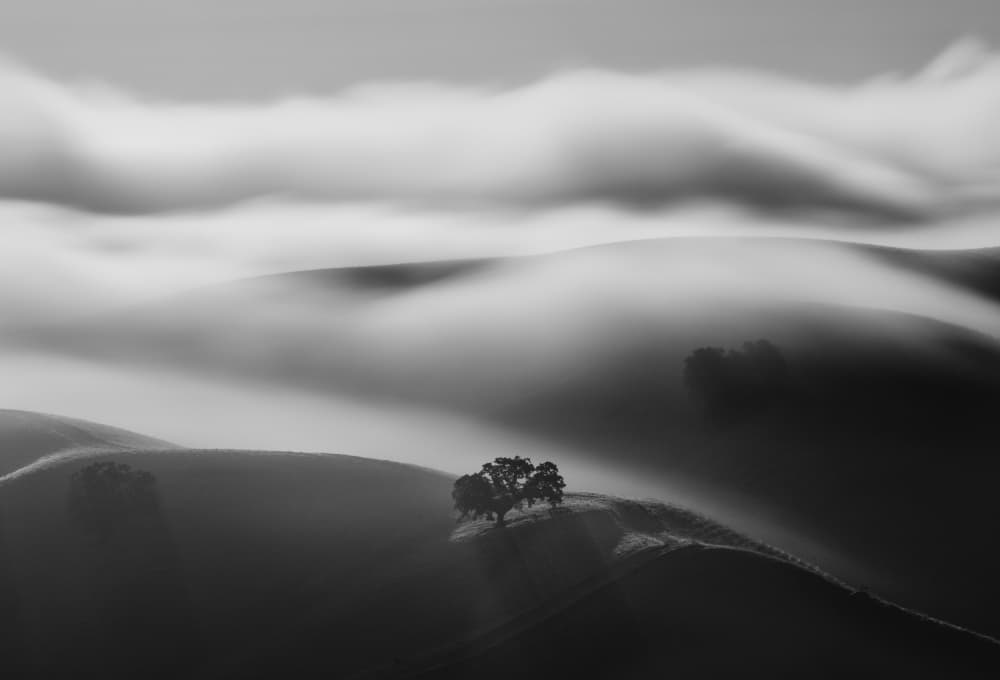 Misty Rolling Hills by Dianne Mao — canvas wall art