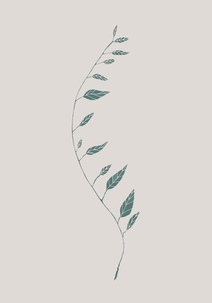 Delicate Botanical Curve by Pictufy Studio II — canvas wall art