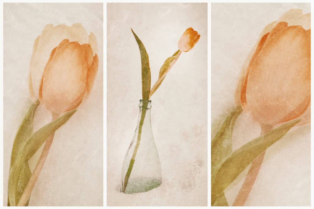 Delicate Tulip Still Life by Gustav Davidsson — canvas wall art