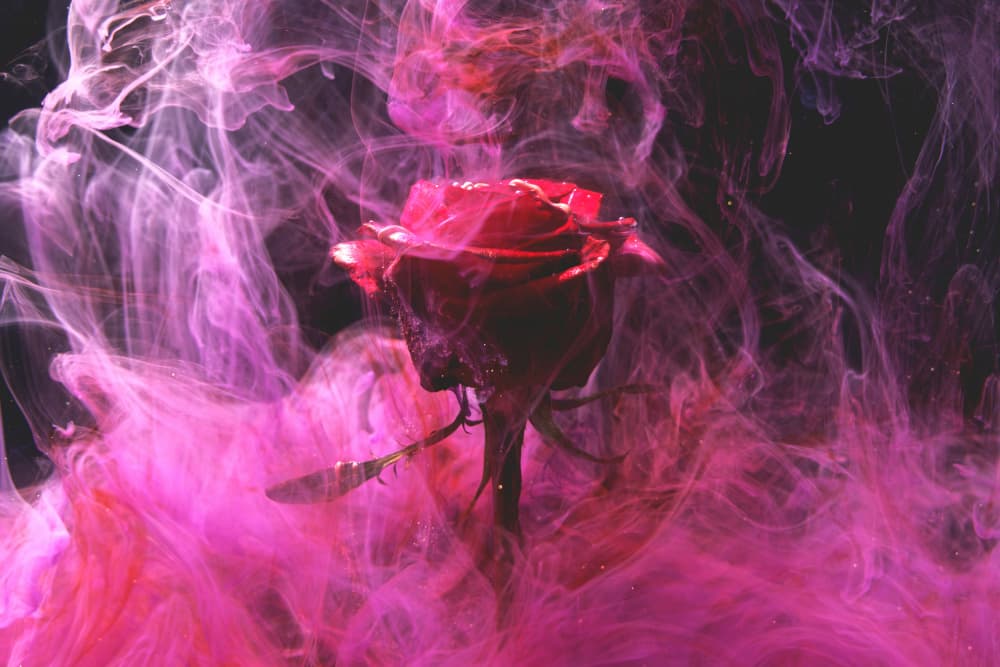 red rose and ink in water by engin akyurt — canvas wall art