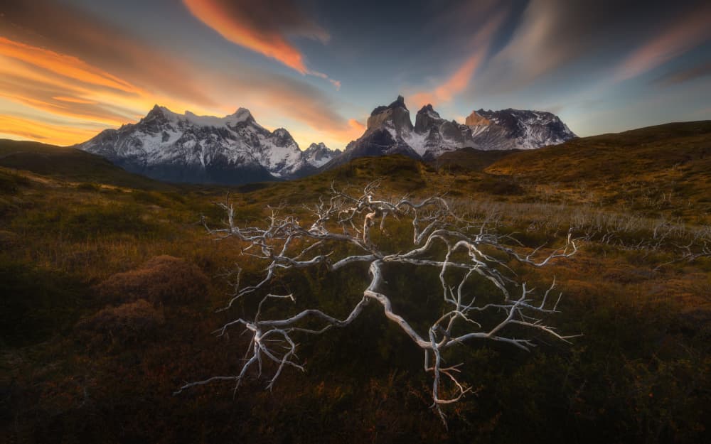 Mountain Peaks Golden Sky by Tomasz Rojek — canvas wall art