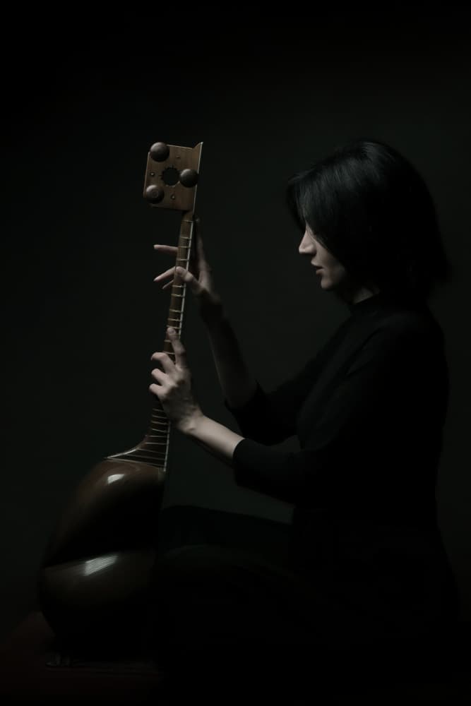Elegant Tar Musician by Moein Hasheminasab — canvas wall art