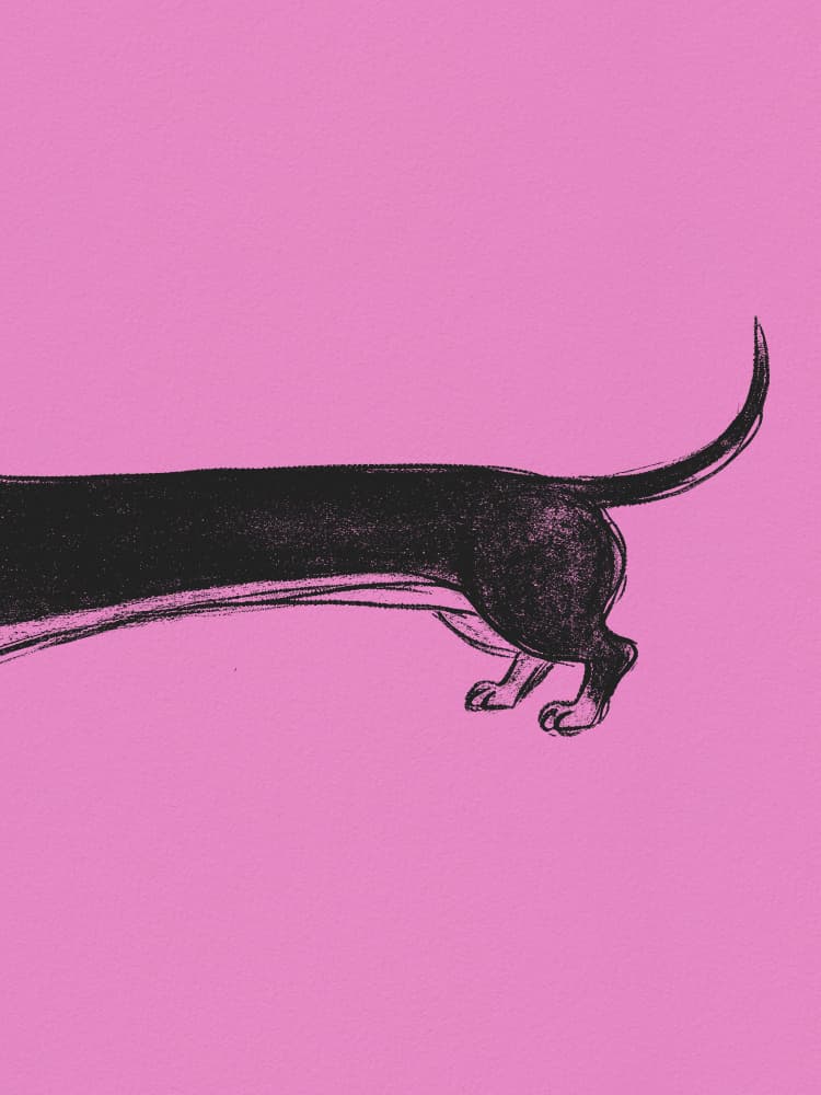 Long Black Dachshund by Andreas Magnusson — canvas wall art