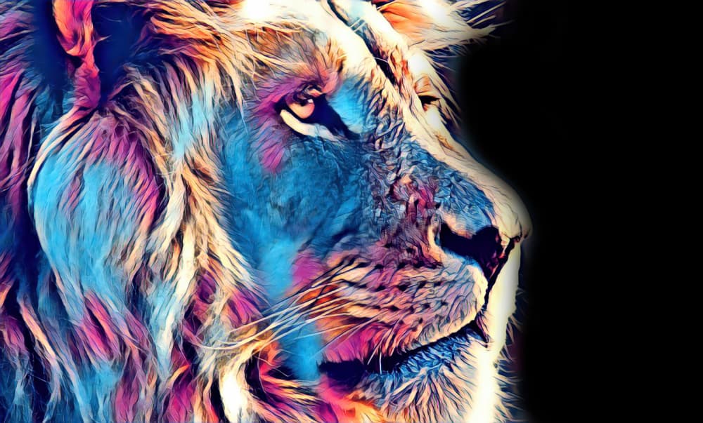 Colorful Lion Head by Rafal Kulik — canvas wall art