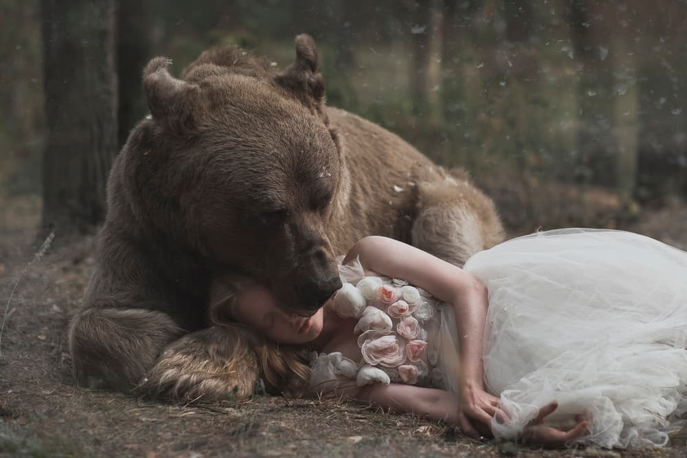 Gentle Forest Dream by Olga Barantseva — canvas wall art
