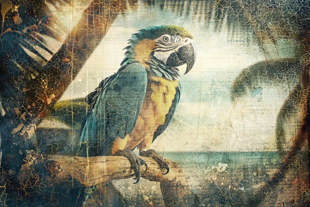 Vintage Tropical Parrot Beach by Rafal Kulik — canvas wall art