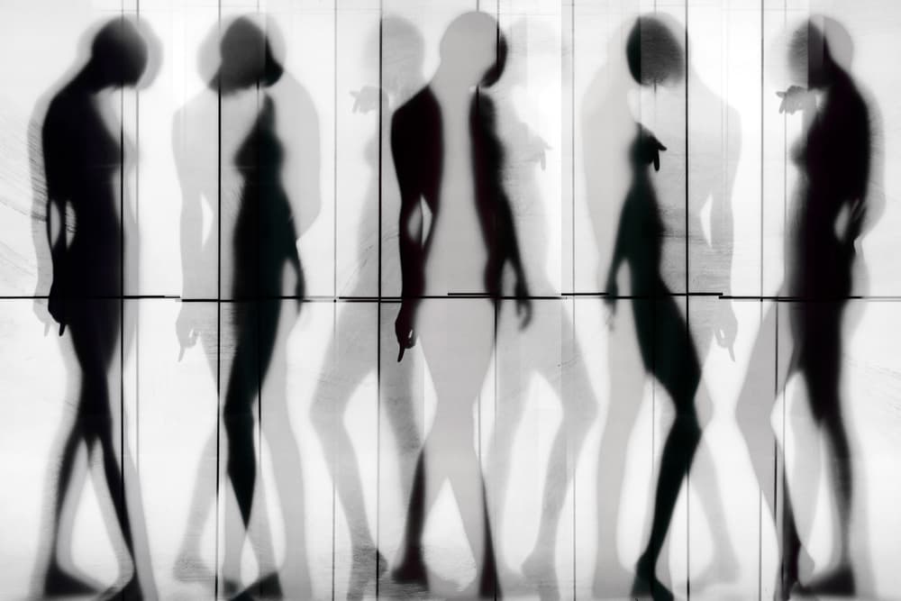 Blurred Silhouettes by Igor Shrayer — canvas wall art