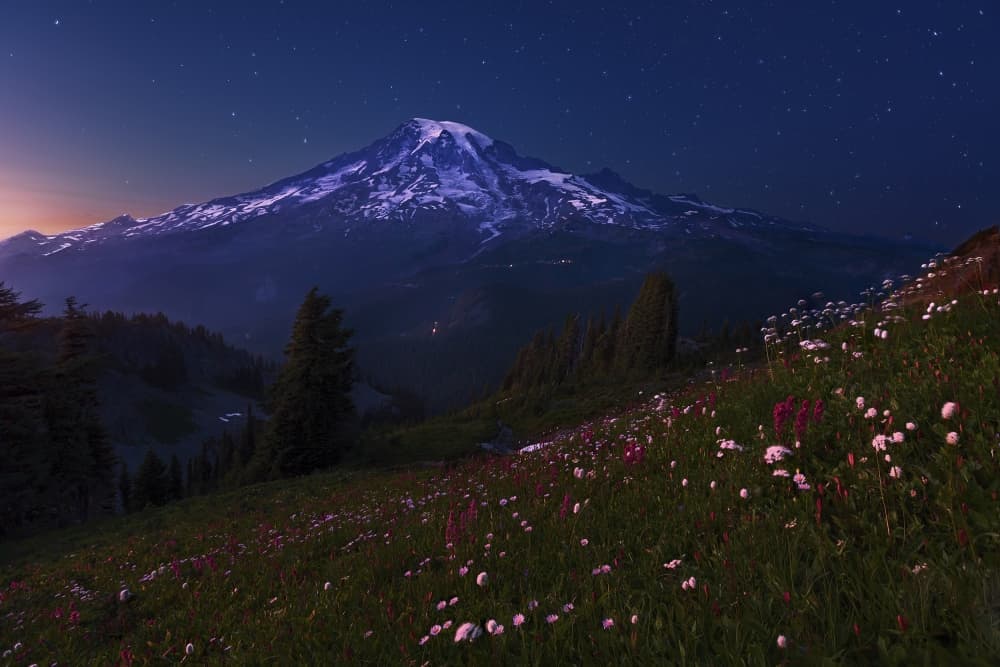 Starry Mountain Meadow by Abdulkhalek Bakir — canvas wall art