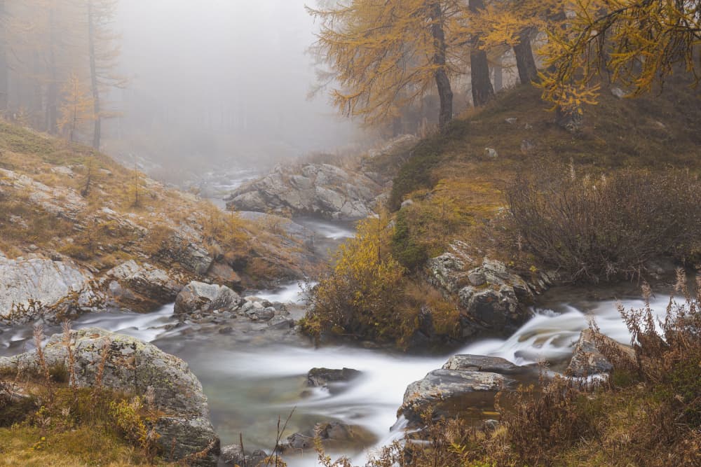 Misty Autumn Stream by Adrian Tudose — canvas wall art