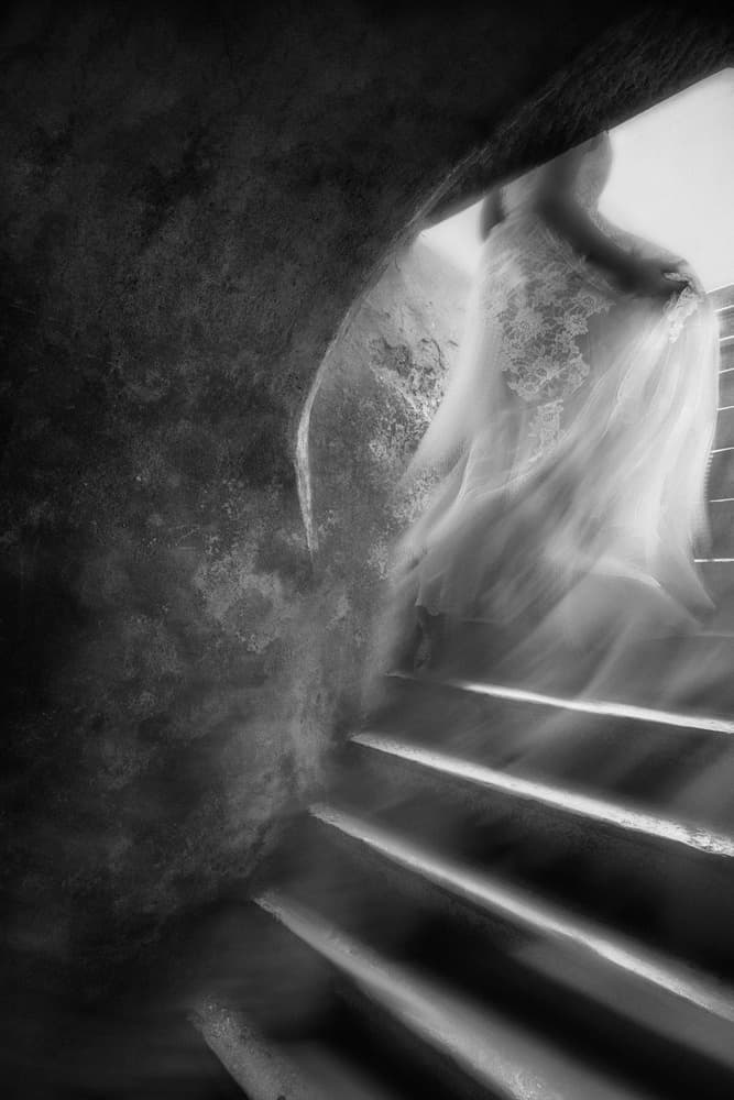 Graceful Ascent by Charlaine Gerber — canvas wall art