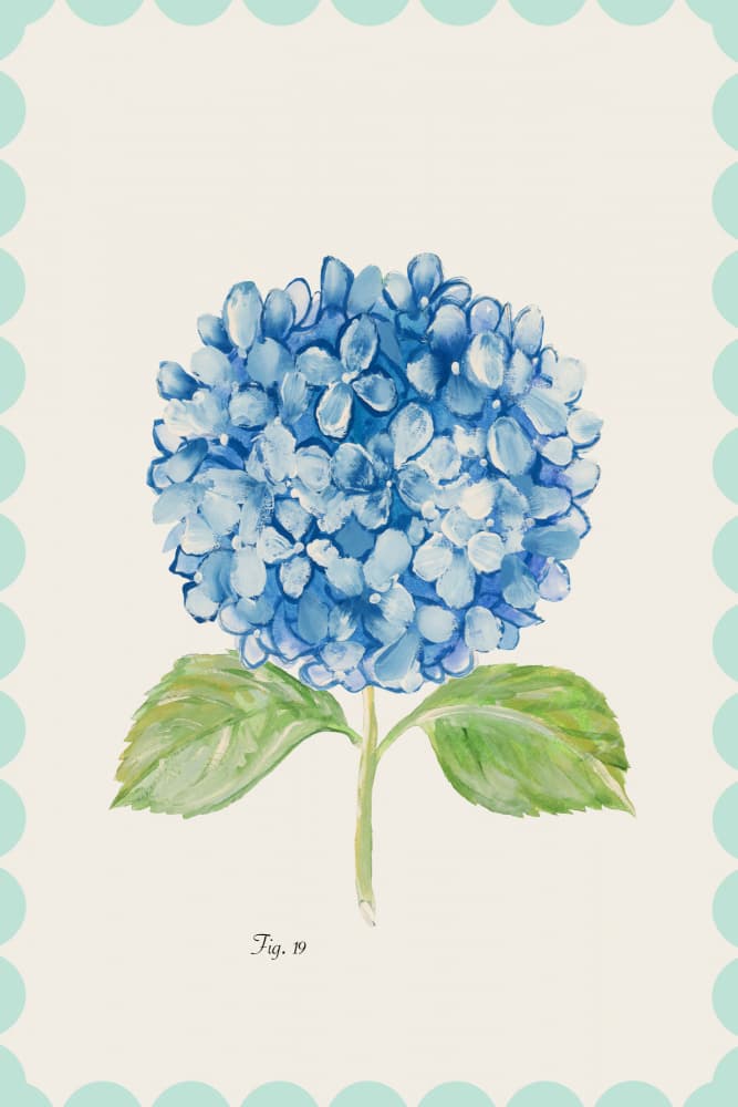 Blue Hydrangea Illustration by cartissi — canvas wall art