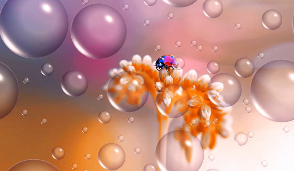 Colorful Ladybug Bubbles by Thierry Dufour — canvas wall art