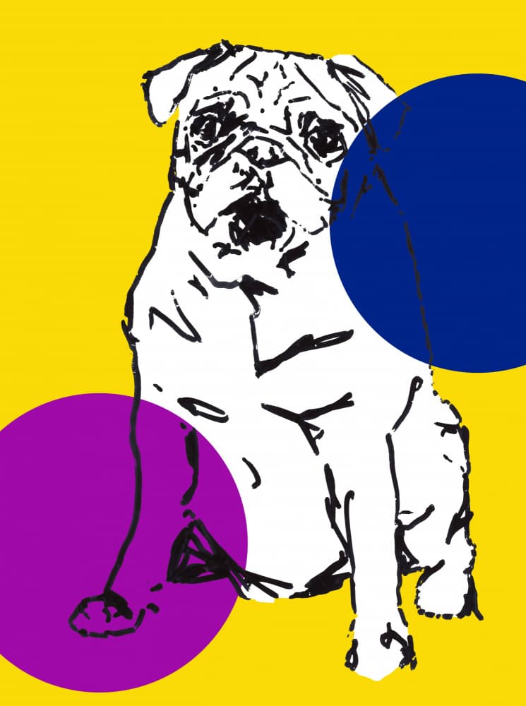 Playful Pug Circles by casa cartissi — canvas wall art