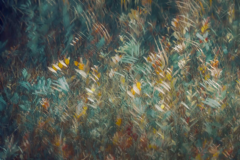 Late summer by Nel Talen — canvas wall art
