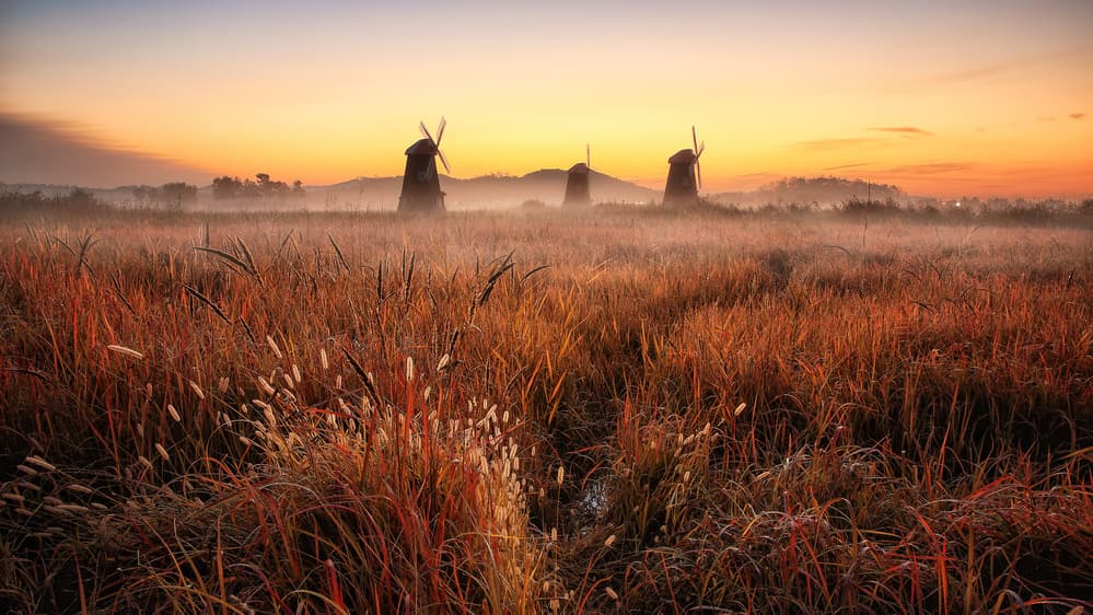Autumn Field Windmills by Tiger Seo — canvas wall art