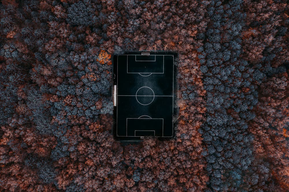 Hidden Forest Soccer Field by Carmine Chiriacò — canvas wall art