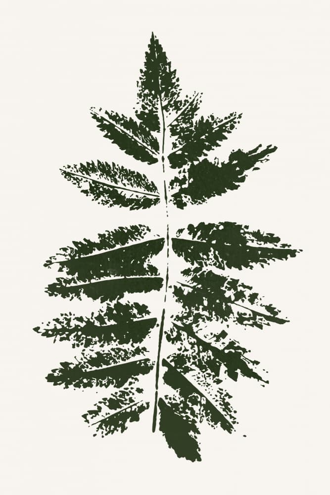 Oak Leaf Print (green) by Kubistika — canvas wall art