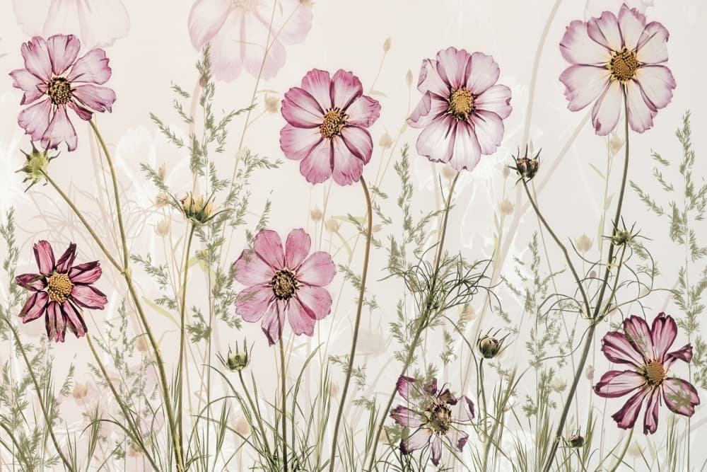 Summer memory by Nel Talen — canvas wall art