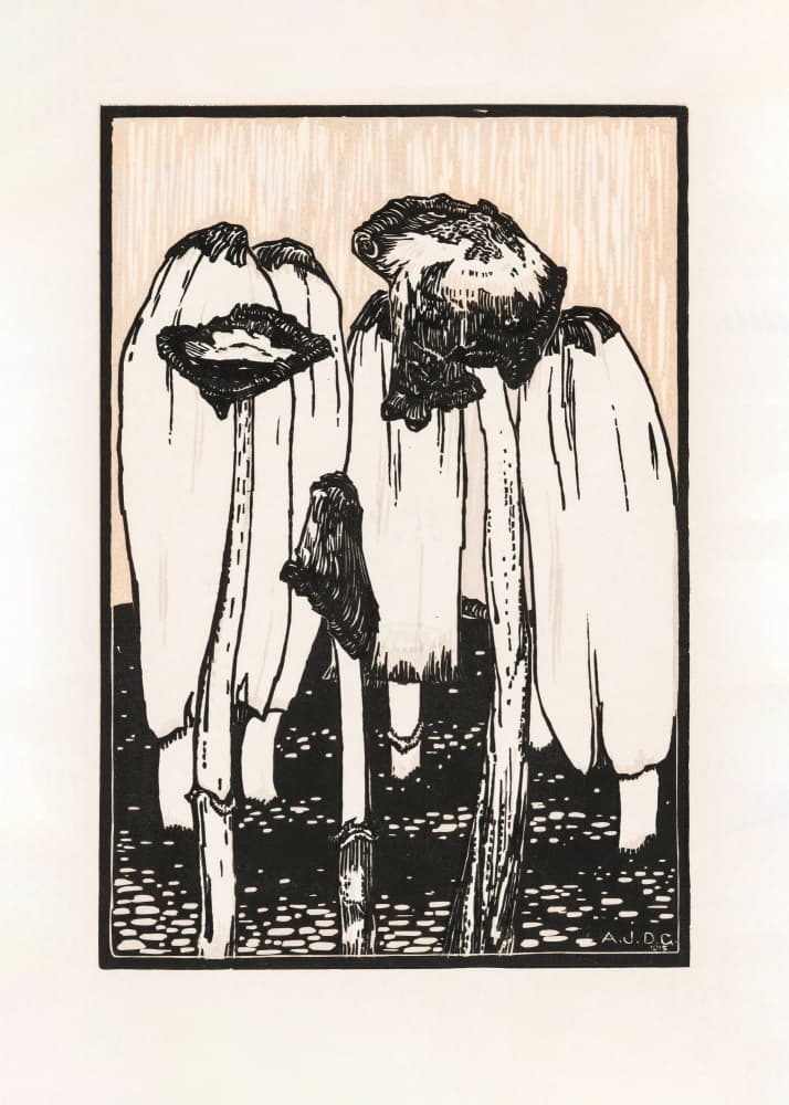 Ink Mushrooms (1915) by Julie De Graag — canvas wall art