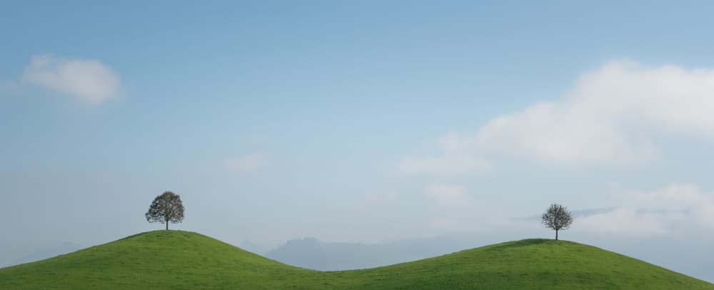 Two Lone Trees by April Xie — canvas wall art