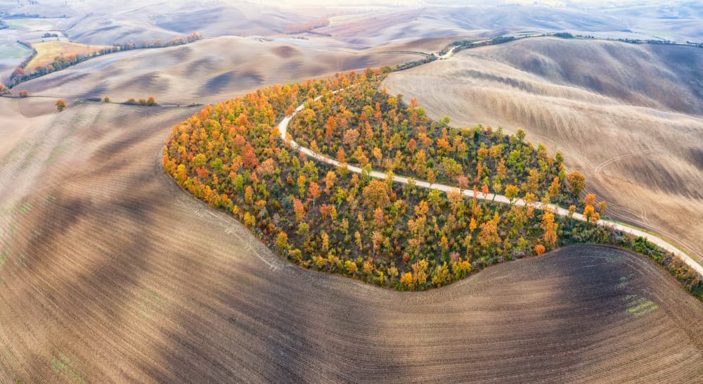 Winding Autumn Road by Luigi Ruoppolo — canvas wall art