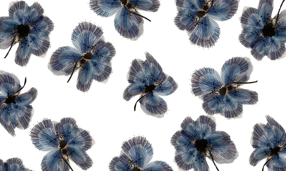 Delicate Blue Blooms by cartissi — canvas wall art