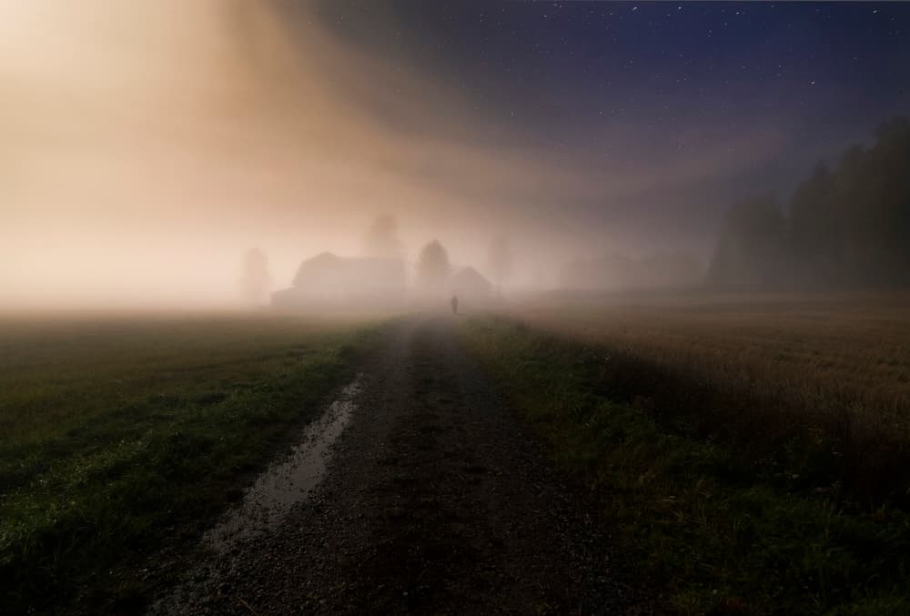 Solitary Night Walk by Mika Suutari — canvas wall art
