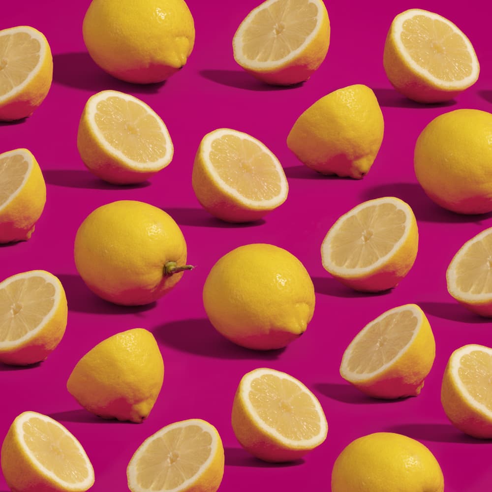Vibrant Magenta Lemons by Julia Ramiro — canvas wall art