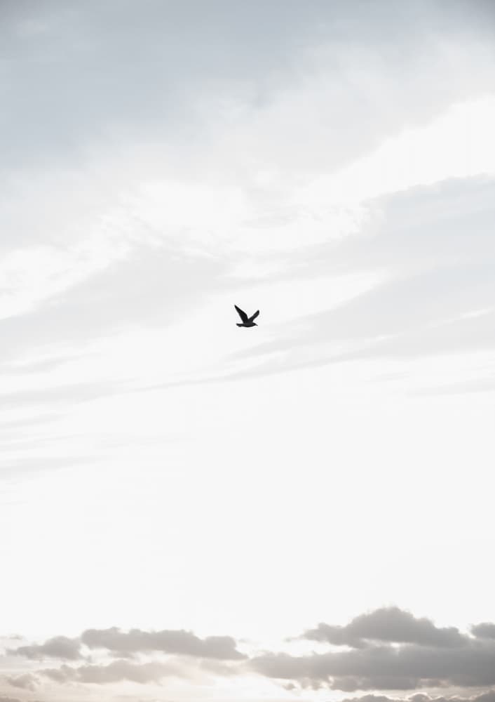 Flying High by Mareike Böhmer — canvas wall art