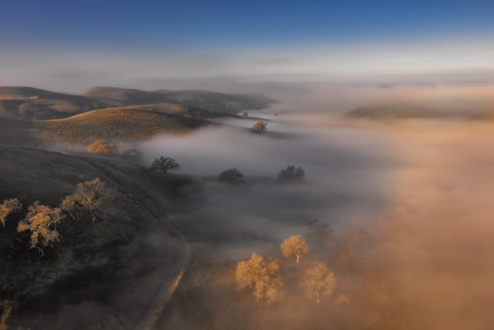 Morning Fog Over Rolling Hills by Jenny Qiu — canvas wall art
