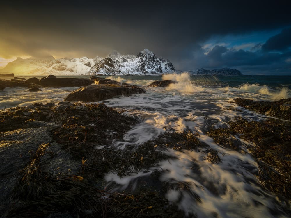 Golden Light Winter Coast by Radek Pohnan — canvas wall art