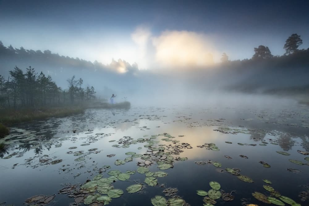  by Leszek Paradowski — canvas wall art