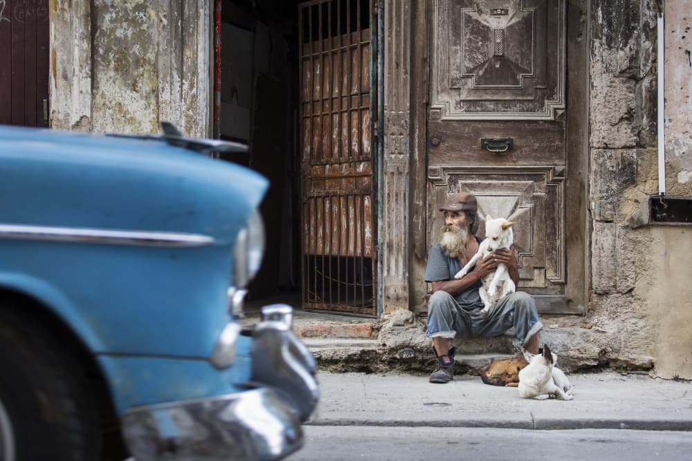 Havana Street Companions by Dan Mirica — canvas wall art