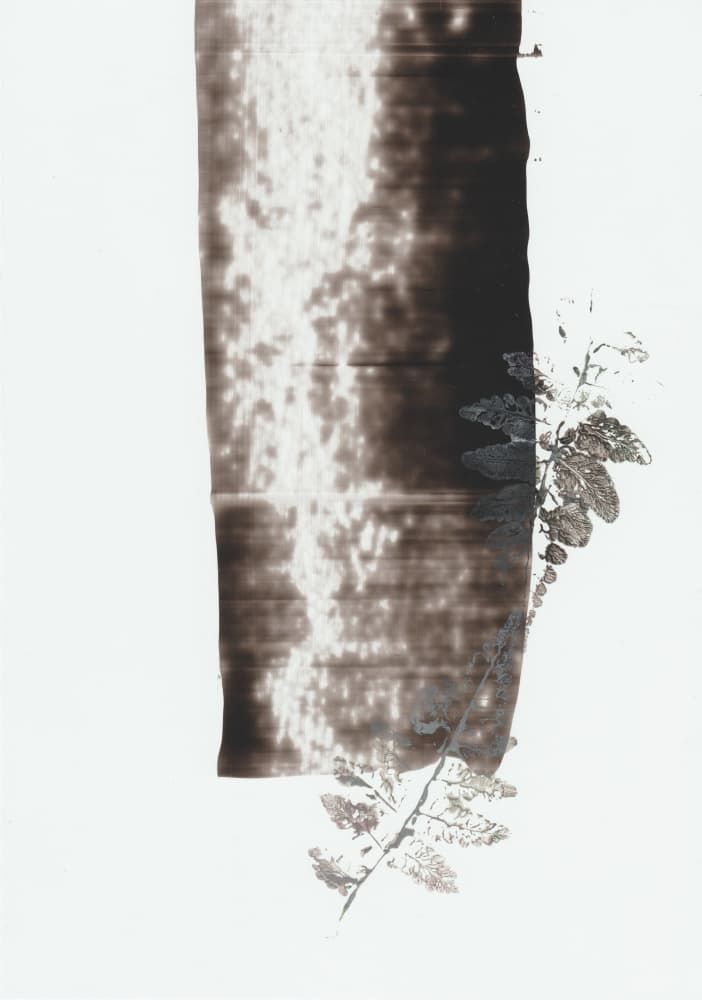 Dark Botanical Stroke by Maira Ribena — canvas wall art