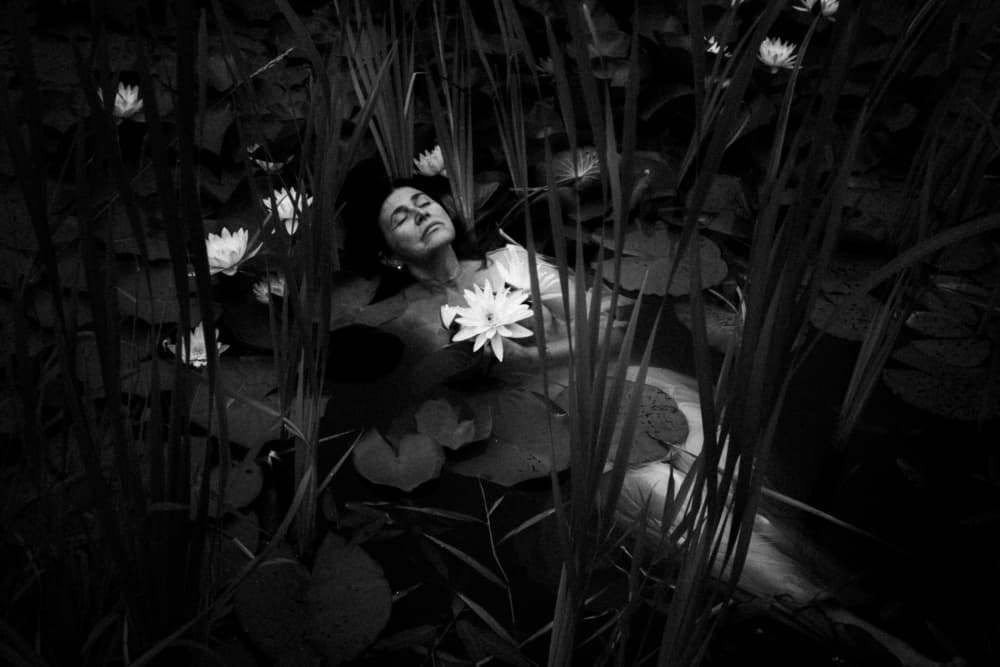 Serene Water Lily Dream by Dzintra Zvagina — canvas wall art