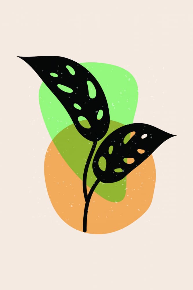 Boho Monstera Leaves by jay stanley — canvas wall art