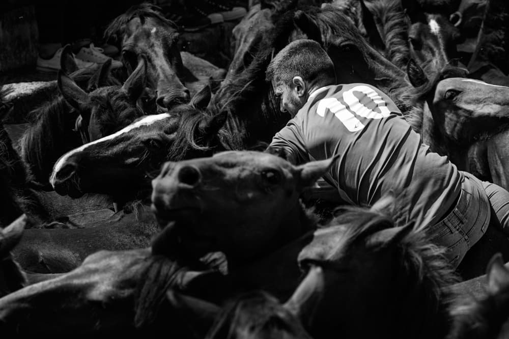 Man Among Horses by Santiago Pascual Buye — canvas wall art