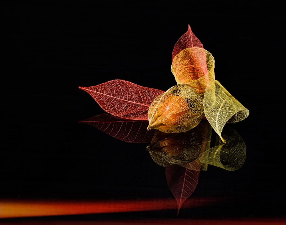Autumn Lanterns Glow by Yi Pan — canvas wall art