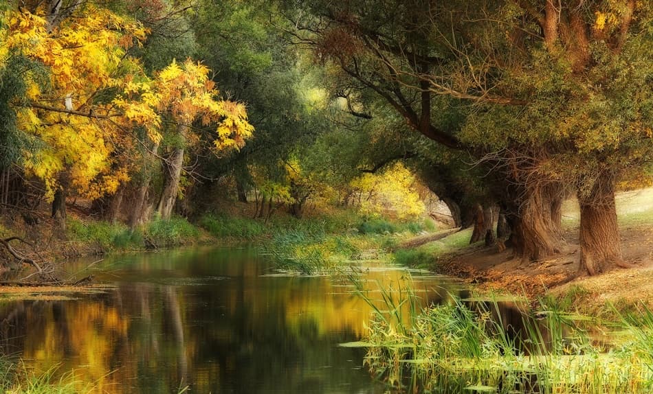 Tranquil Autumn River by Leicher Oliver — canvas wall art