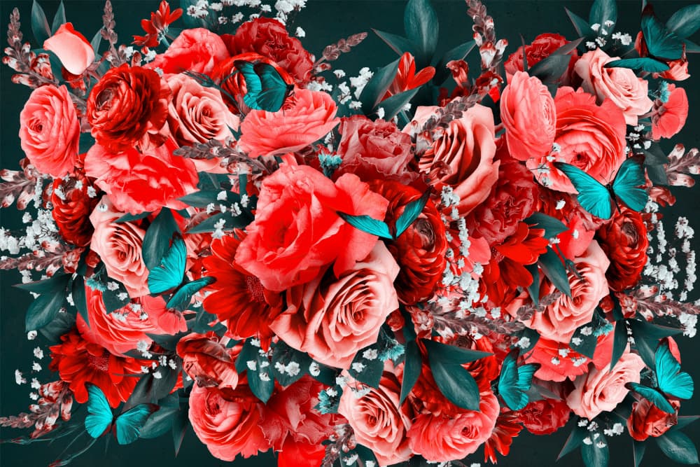 Vibrant Floral Butterflies by Sue Skellern — canvas wall art