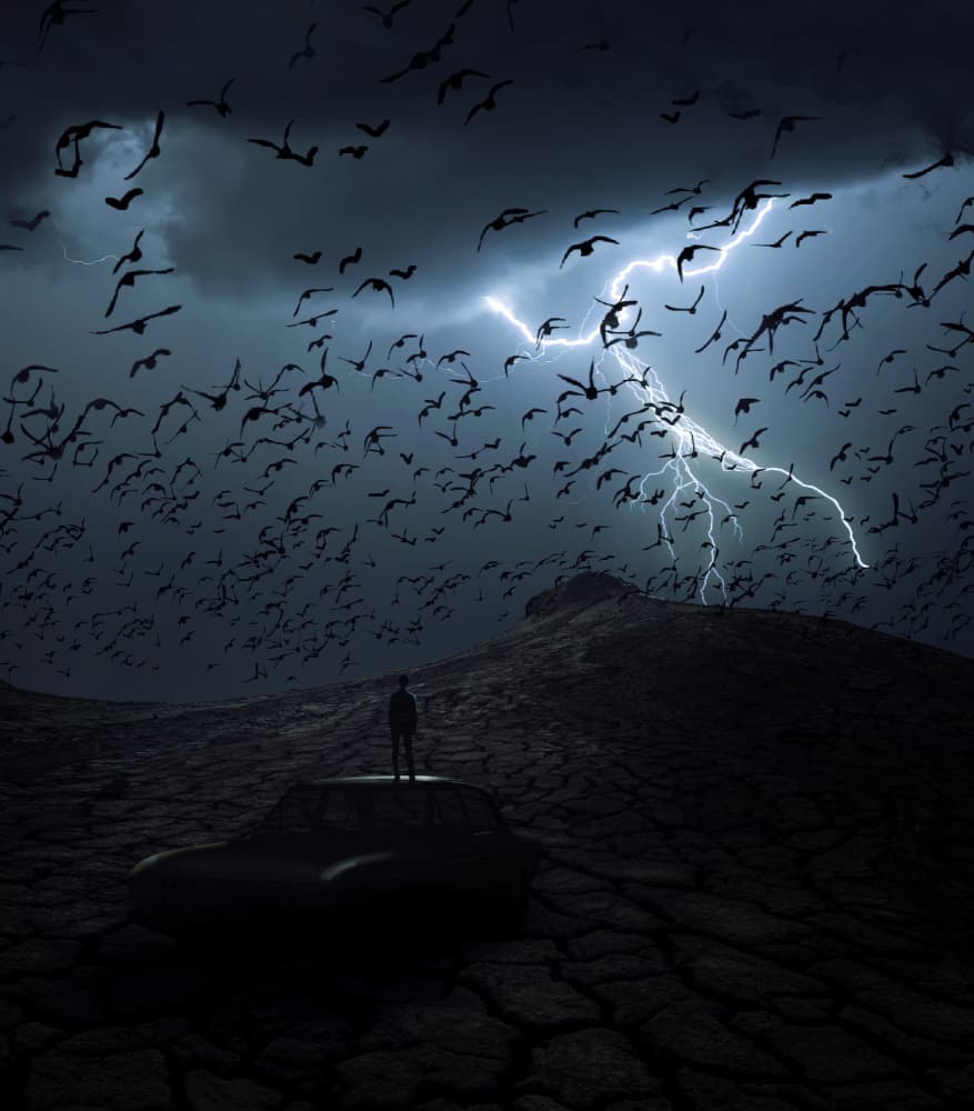 Man Under Stormy Sky by cvv — canvas wall art