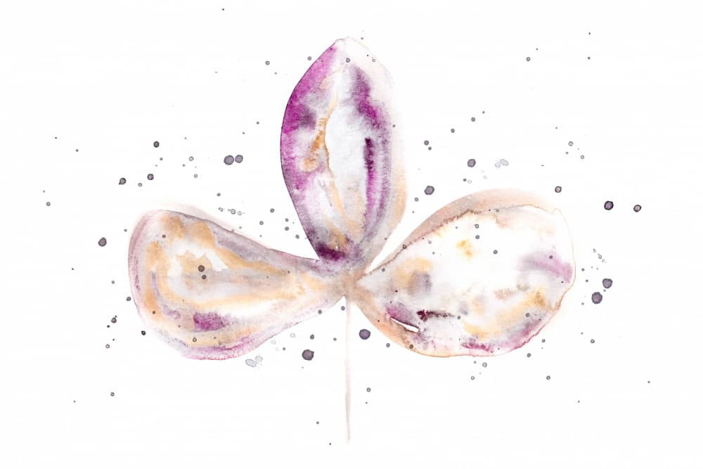 Soft Watercolor Bloom by EMELIEmaria — canvas wall art