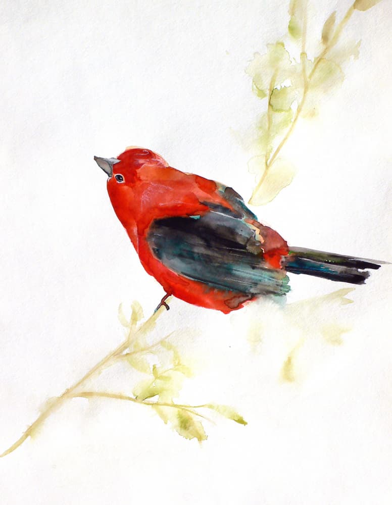 Vibrant Red Bird by Christine Lindstrom — canvas wall art