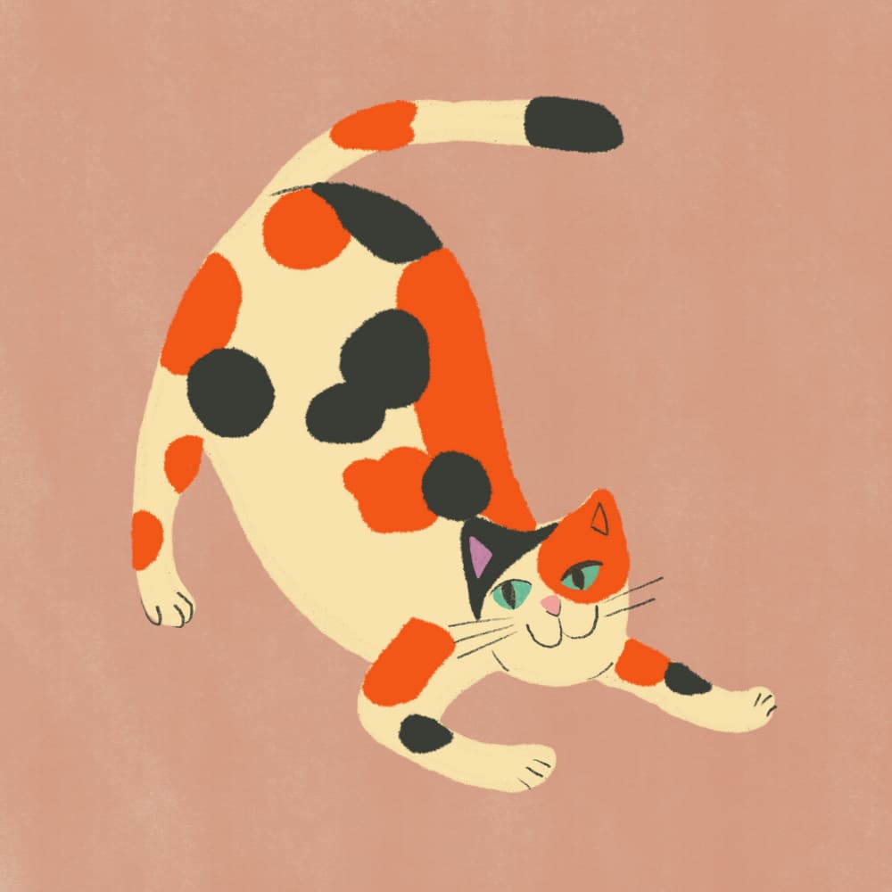 Smiling Calico Stretch by Little Dean — canvas wall art
