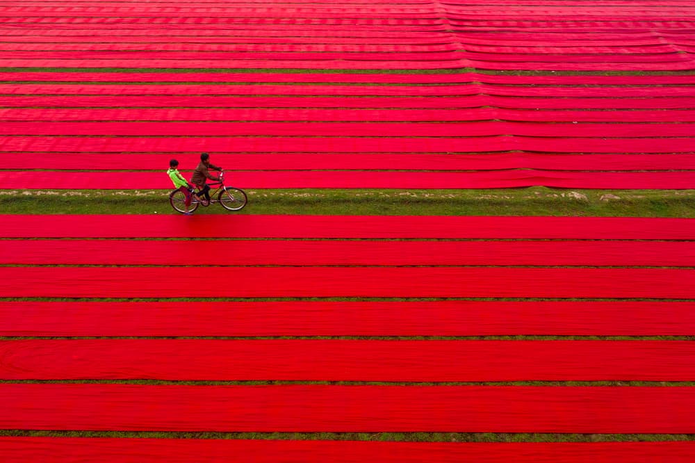 Bicycle in Red Fields by Azim Khan Ronnie — canvas wall art