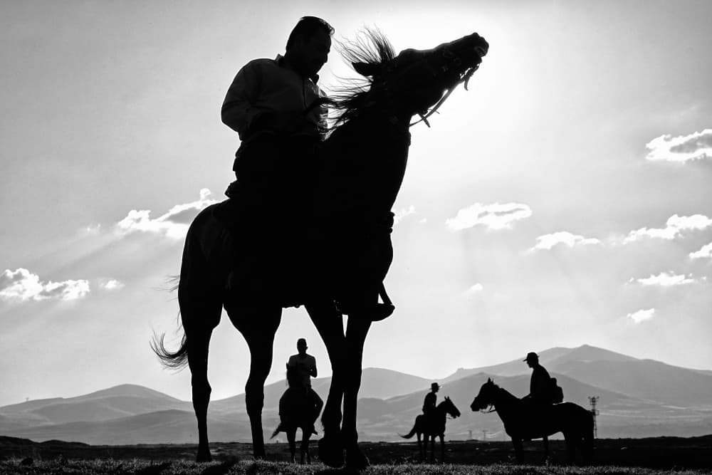 Wild West Horse Silhouettes by Gilcan Mete — canvas wall art